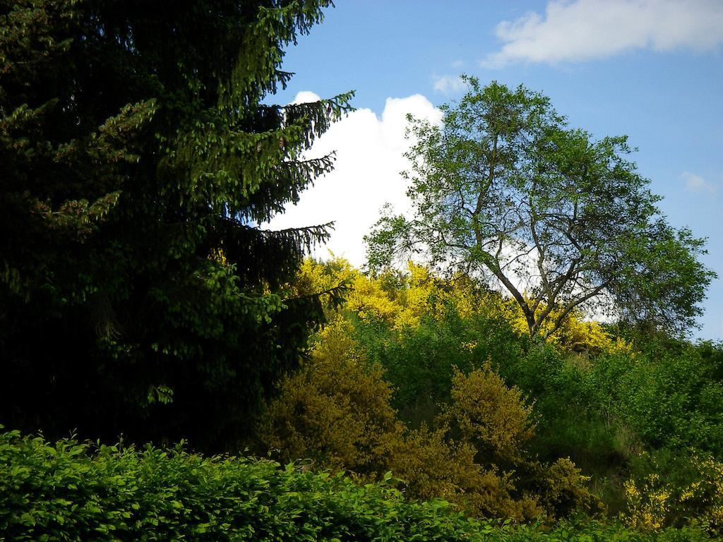 Auszeit Am Eifelsteig Otel Daun Dış mekan fotoğraf