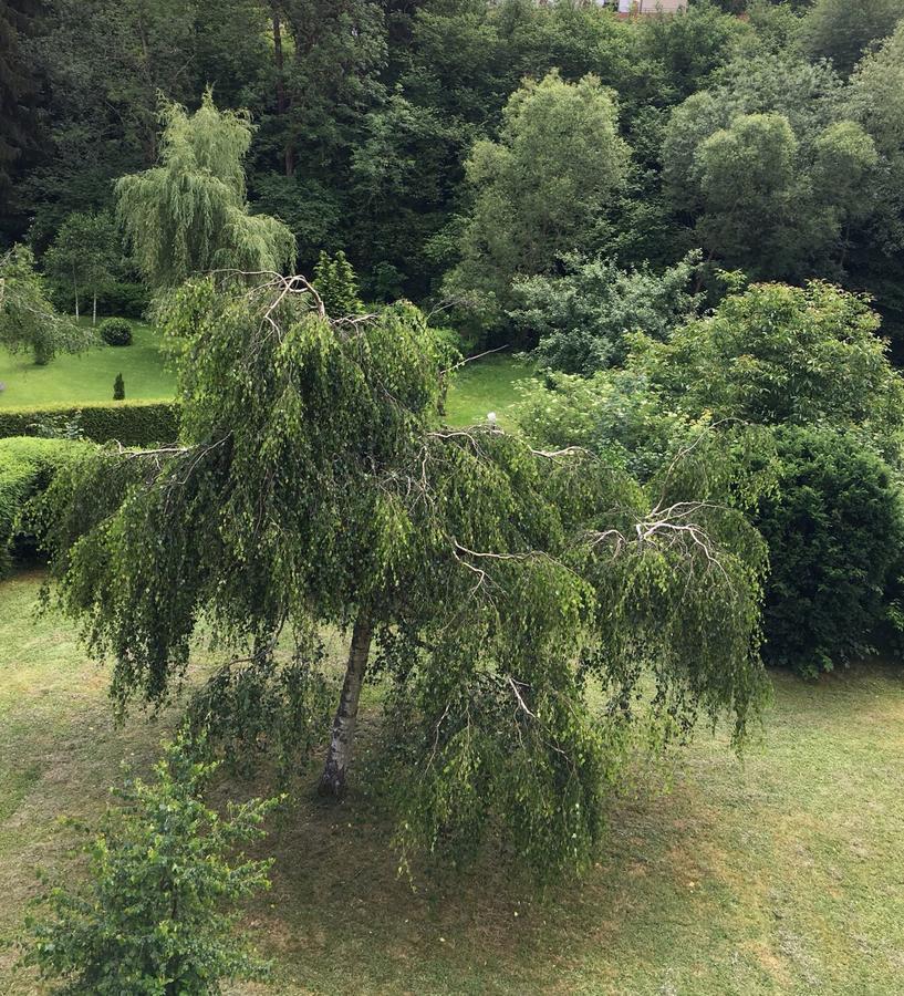 Auszeit Am Eifelsteig Otel Daun Dış mekan fotoğraf