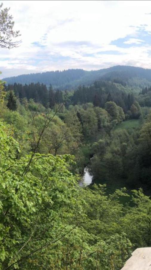 Auszeit Am Eifelsteig Otel Daun Dış mekan fotoğraf